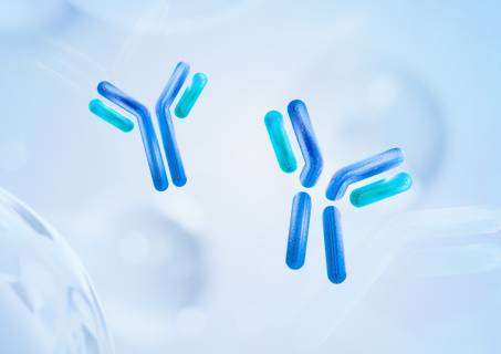 Recombinant human IgG degrading enzyme