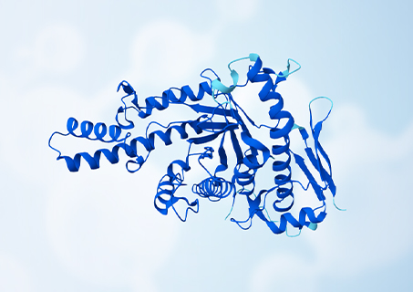 Recombinant human chymotrypsin